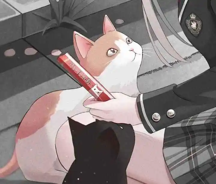 西檬之家BDSM入圈指南:如何安全、理智地探索你的边界? 一