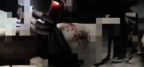 西檬之家BDSM中的信任如何建立?字母圈新人必读指南 一