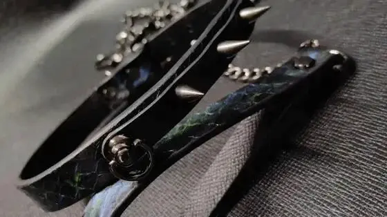 西檬之家sm亚文化是什么?新手必知的基本常识与入门指南 一