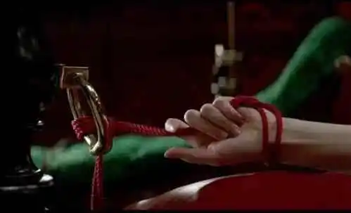 西檬之家如何探索字母圈?新手必看实践指南 一